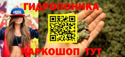 2c-b Берёзовский