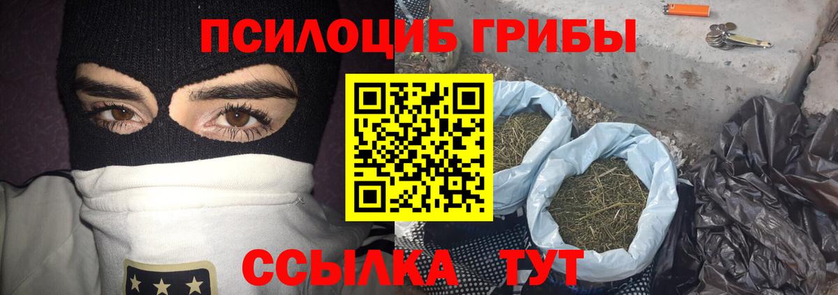Камышлов  Галлюциногенные грибы GOLDEN TEACHER  Вход с VPN  Галлюциногенные грибы мухоморы 